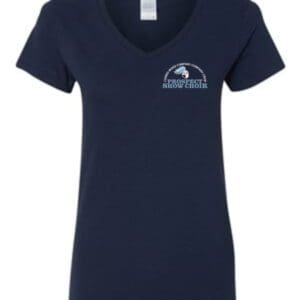 Navy Blue Ladies V-Neck T-Shirt