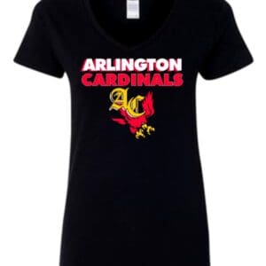 Ladies V-Neck T-Shirt
