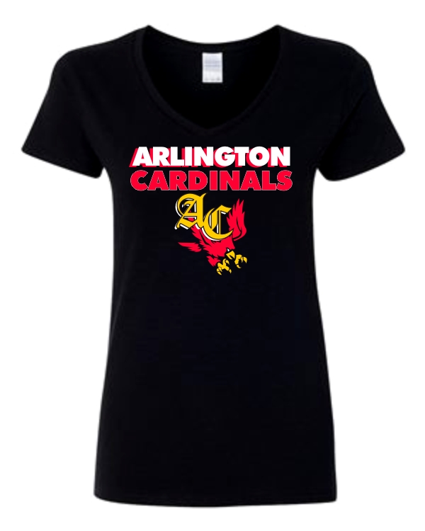 Ladies V-Neck T-Shirt