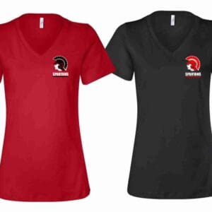 Ladies V-Neck T-Shirt - Choice of Color
