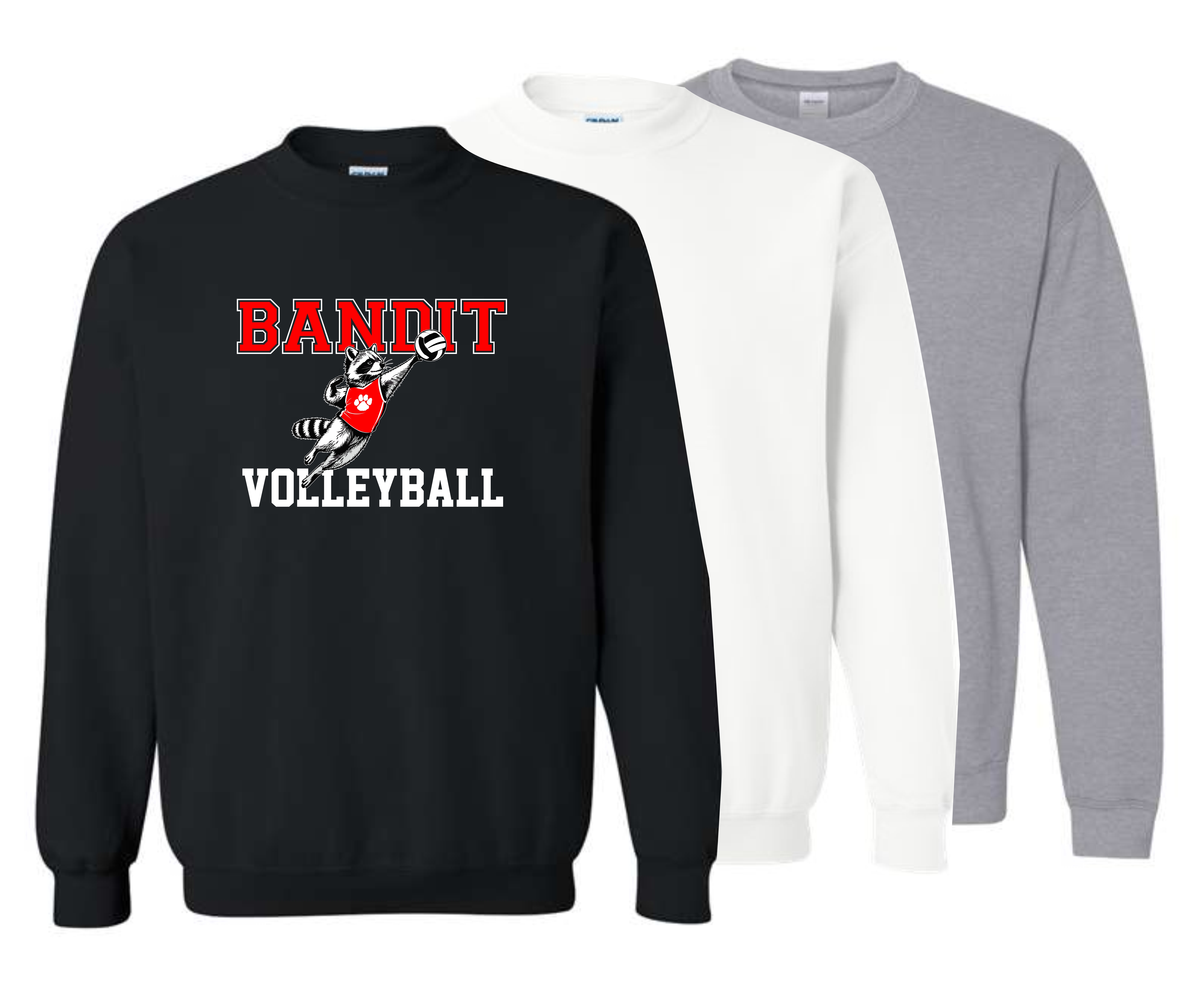 Crewneck Sweatshirt / Choice of Color