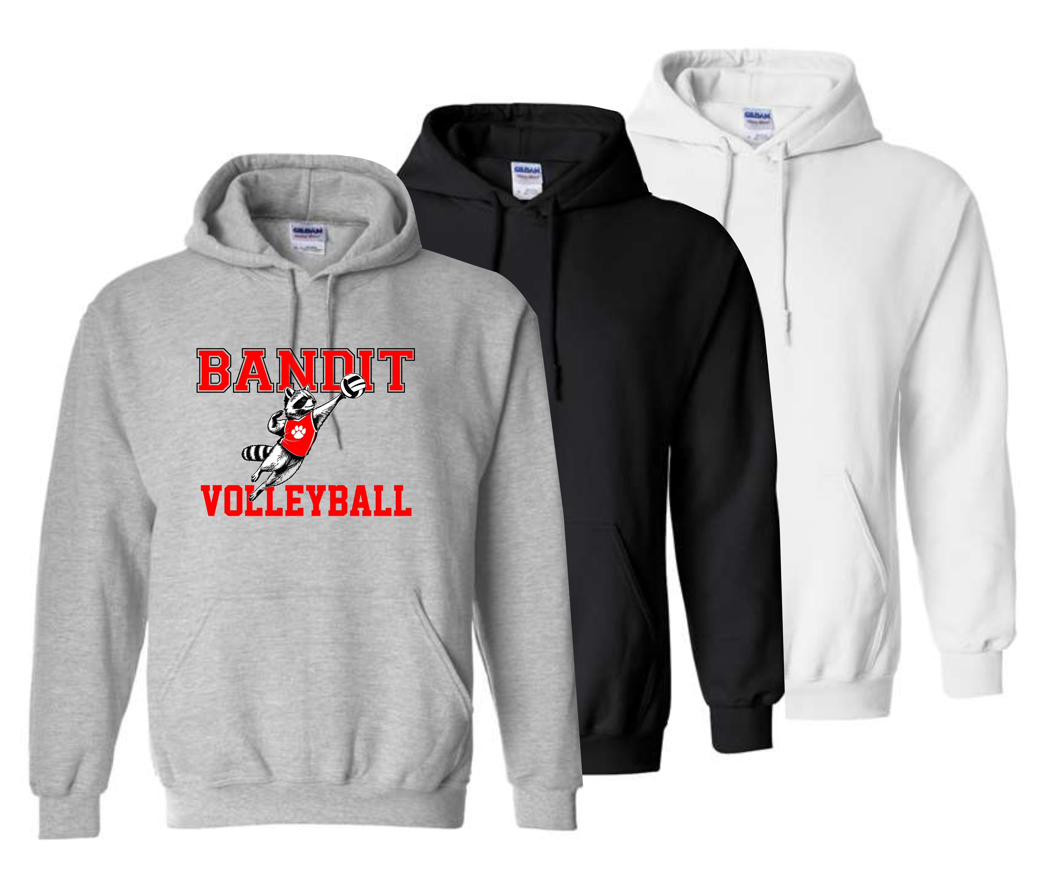 Hooded Sweatshirt / Choice of Color